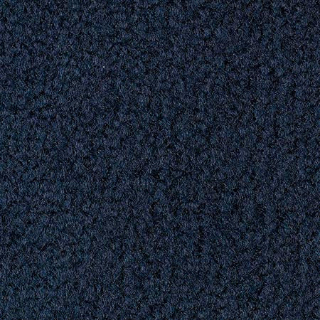 Expo Carpet Sample