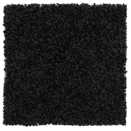 Black plush shag rug, soft texture, perfect for home decor, enhances cozy atmosphere.