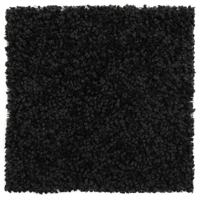 12ft Wide Plush Event Carpet - Black
