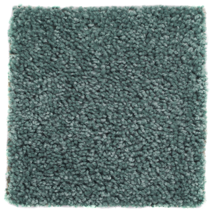 Plush Carpet Sample