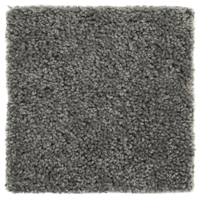 Plush Carpet Sample