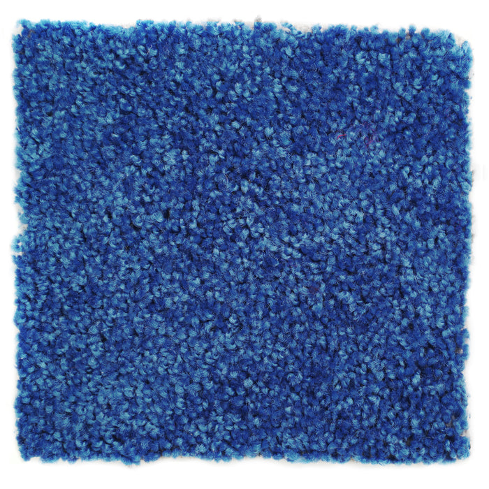 Plush Carpet Sample