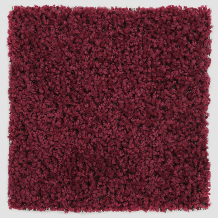 Plush Carpet Sample