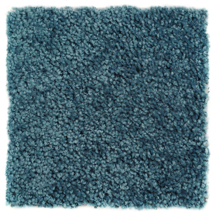 Plush Carpet Sample