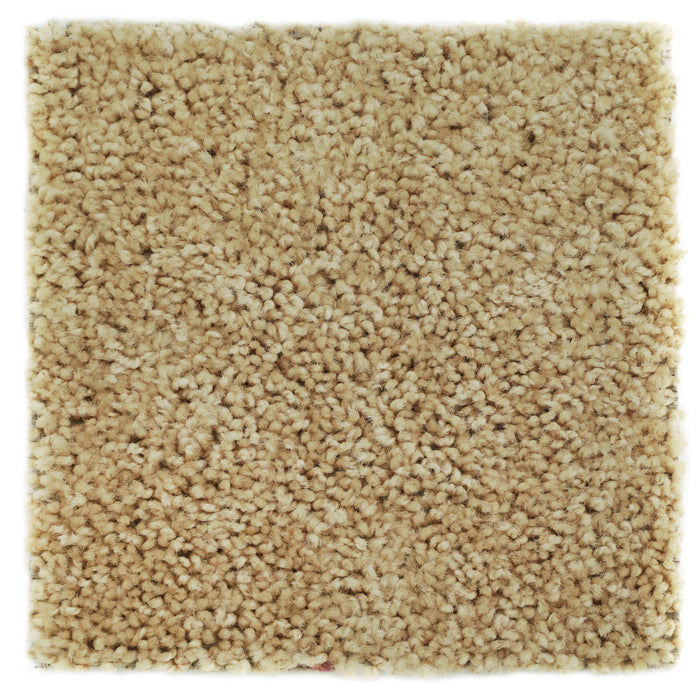 Plush Carpet Sample