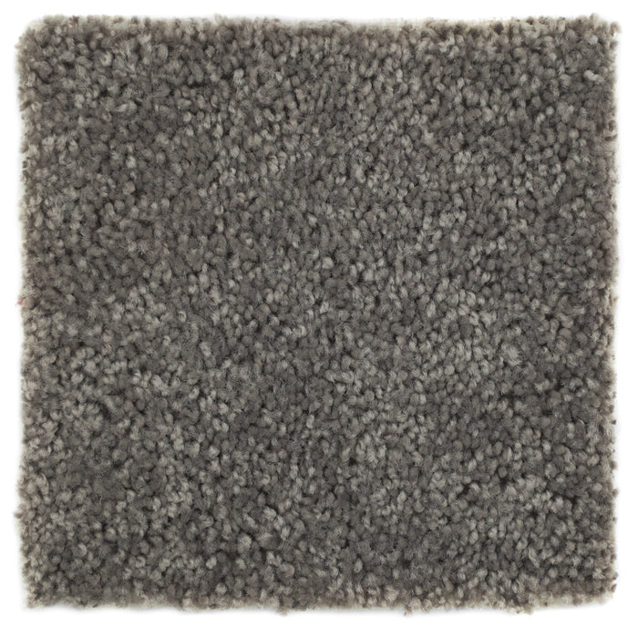12ft Wide Plush Event Carpet - Ink Grey