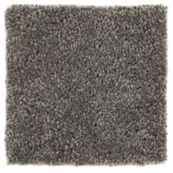 Plush Carpet Sample