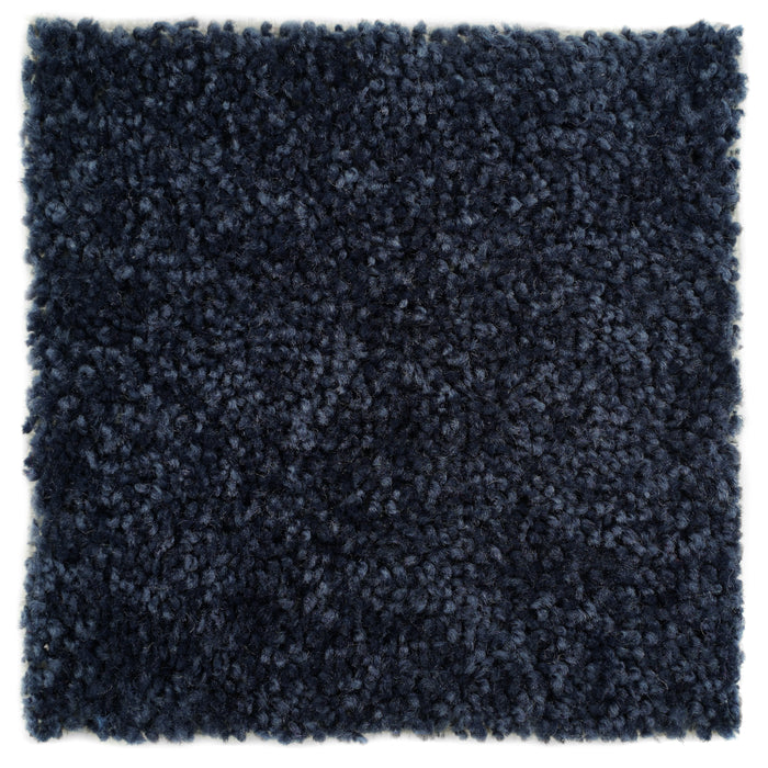 Plush Carpet Sample