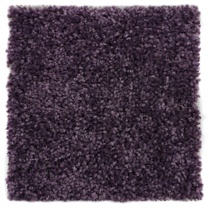 Plush Carpet Sample