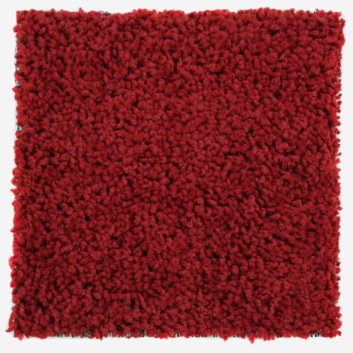 Plush Carpet Sample