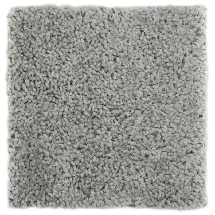 Plush Carpet Sample