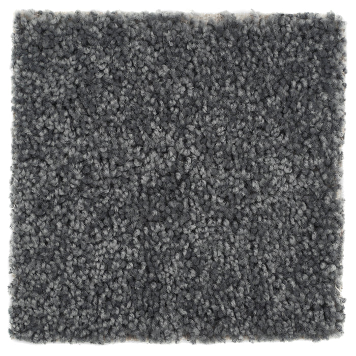 Plush Carpet Sample